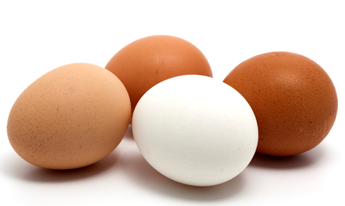 Eggs & Poultry